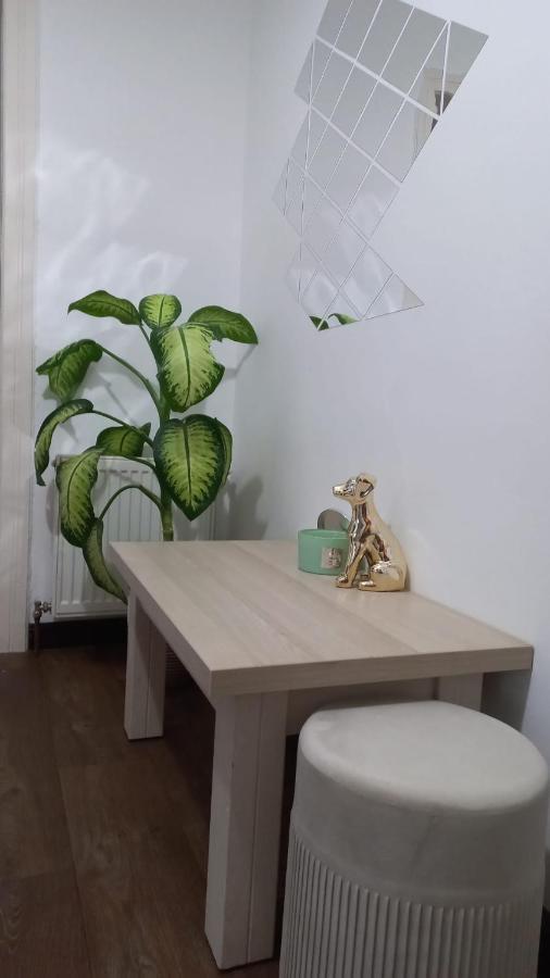 Dove Apartment シビウ エクステリア 写真